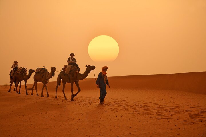Camel caravan at sunset led by a Berber guide in the Sahara Desert near Merzouga, Morocco