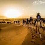 🐾 Animals You’ll Meet in Morocco