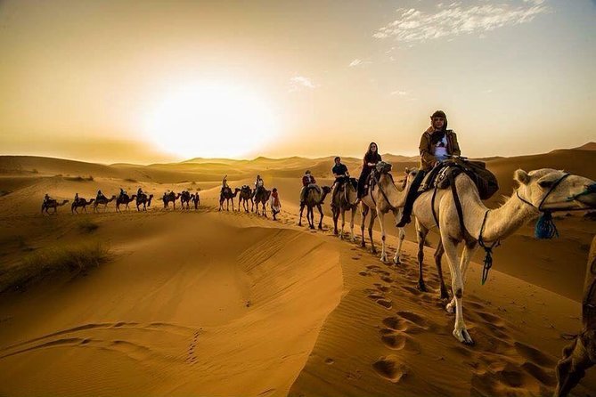 Travelers riding camels through the Sahara Desert at sunset near Merzouga, Morocco