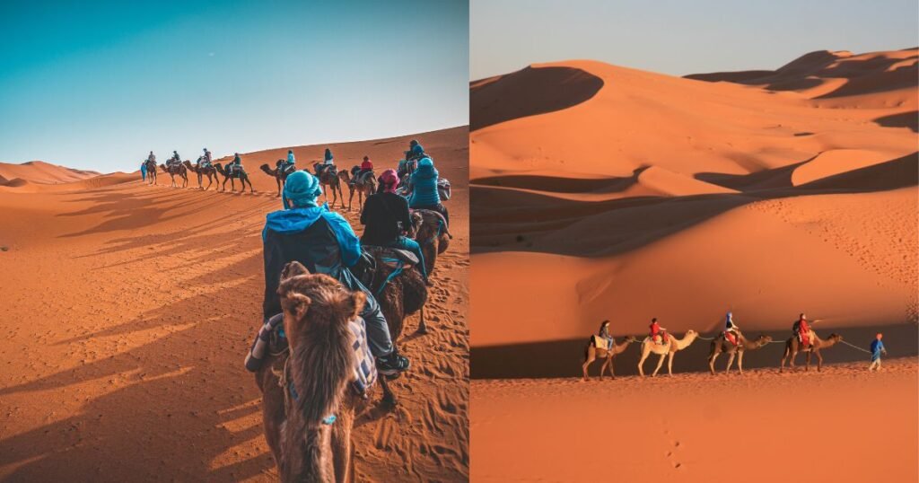 Camel trekking in the Sahara Desert near Merzouga at sunset with Bespoke Morocco Tours
