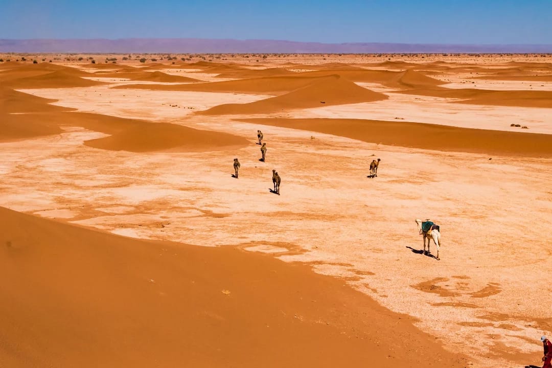 Bespoke Morocco Tours private Morocco travel