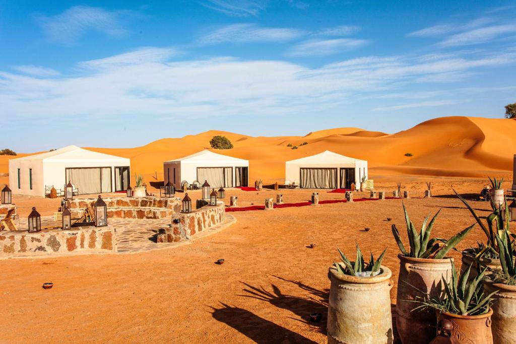 10-Day Sahara & South Morocco Tour